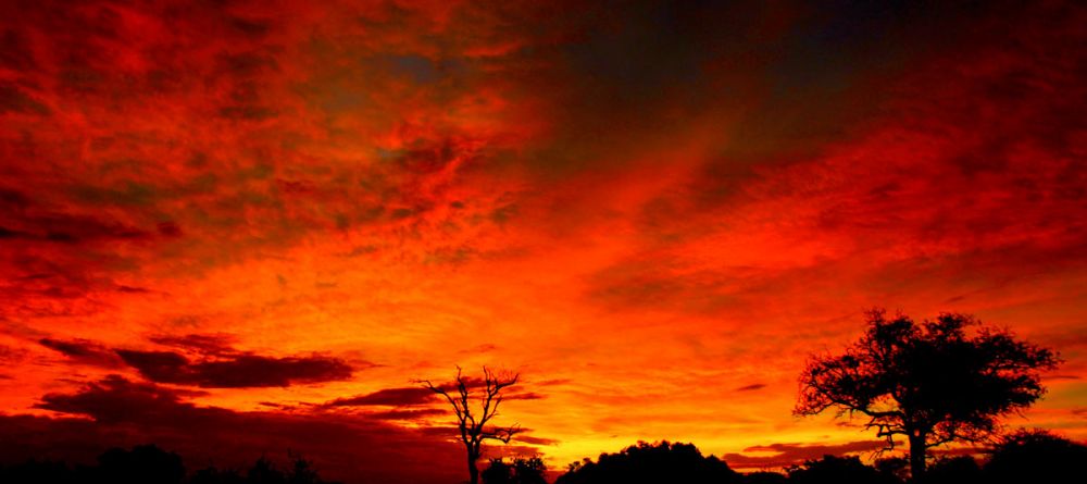 Lion Sands River Lodge, Sabi Sands Game Reserve, South Africa - Image 10