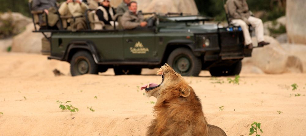 Savanna Lodge - Image 1