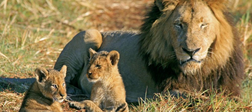 Chamilandu Bushcamp, South Luangwa National Park, Zambia - Image 4