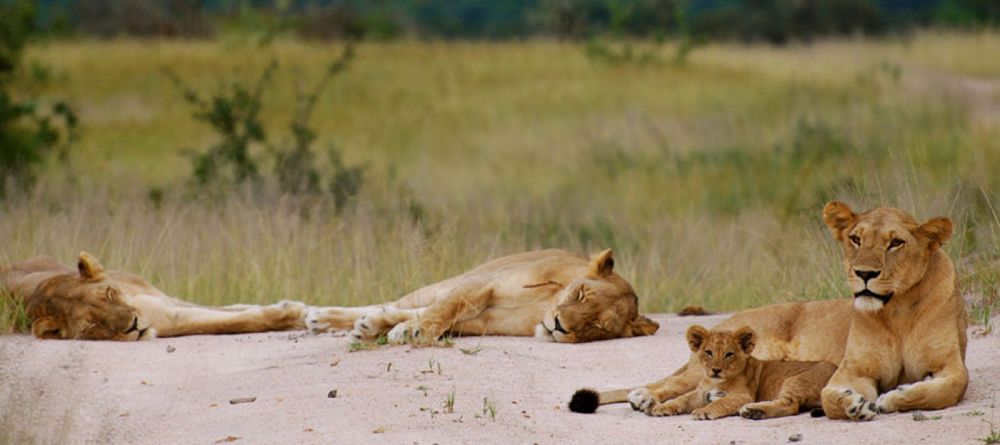 Entamanu Ngorongoro, Ngorongoro Crater, Tanzania - Image 14