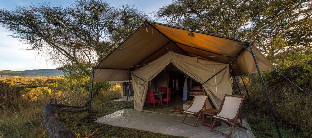 Guest tent at Lions Paw Camp - Image 1