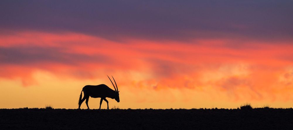 Little Kulala, Sossusvlei, Namibia - Image 18