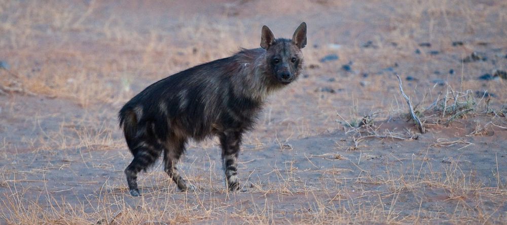 Little Kulala, Sossusvlei, Namibia - Image 4