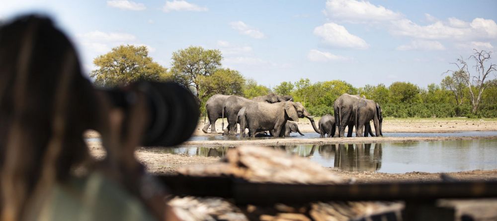 Little Makalolo, Hwange National Park, Zimbabwe - Image 14