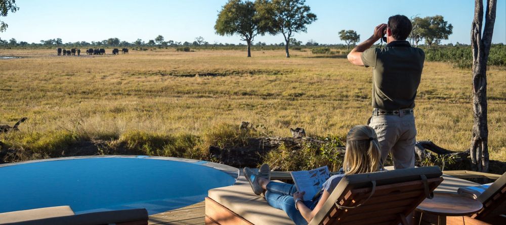 Little Makalolo, Hwange National Park, Zimbabwe - Image 7