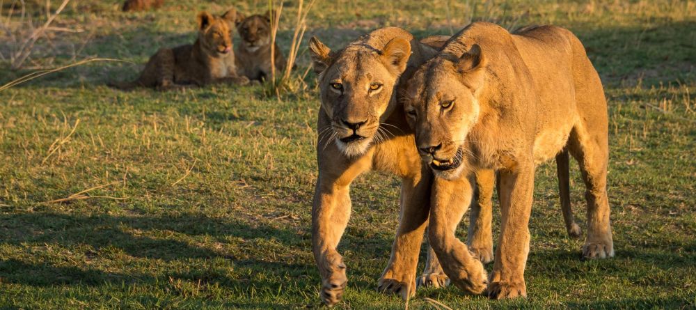 Fish River Lodge - Image 3