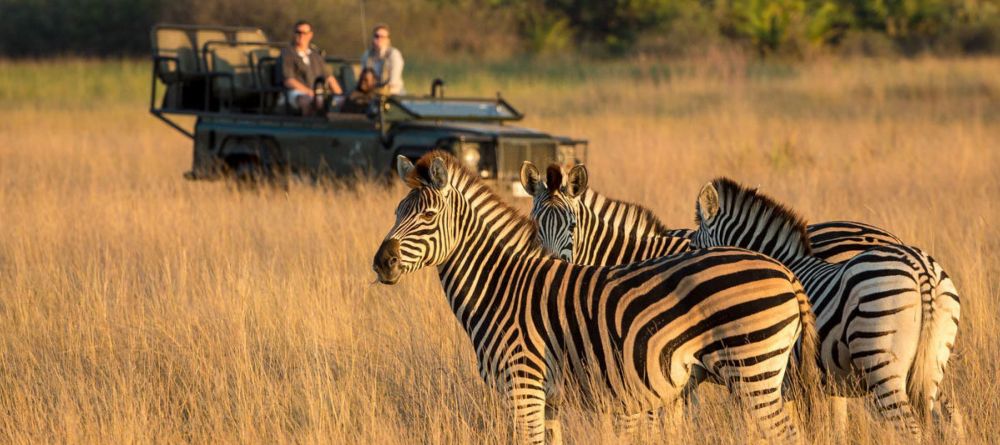 Little Tubu Tree Camp, Okavango Delta, Botswana - Image 12