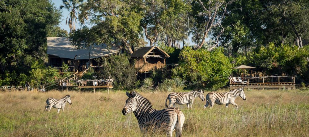 Little Tubu Tree Camp, Okavango Delta, Botswana - Image 11