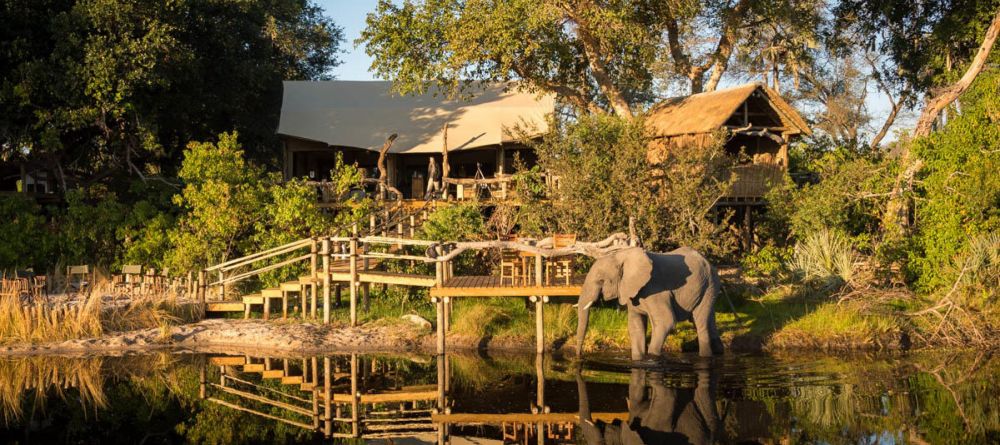 Little Tubu Tree Camp, Okavango Delta, Botswana - Image 2