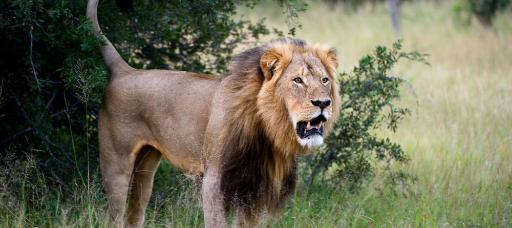 Hwange Bush Camp - Image 4