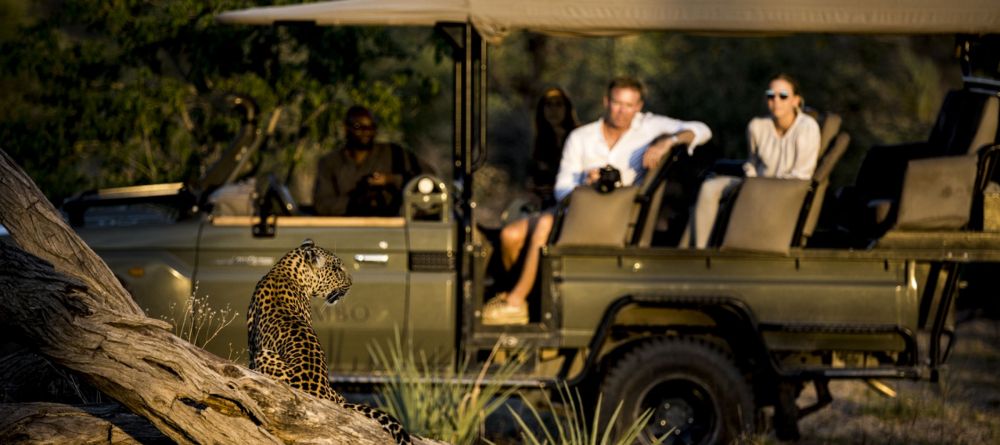 Game drive - Image 8