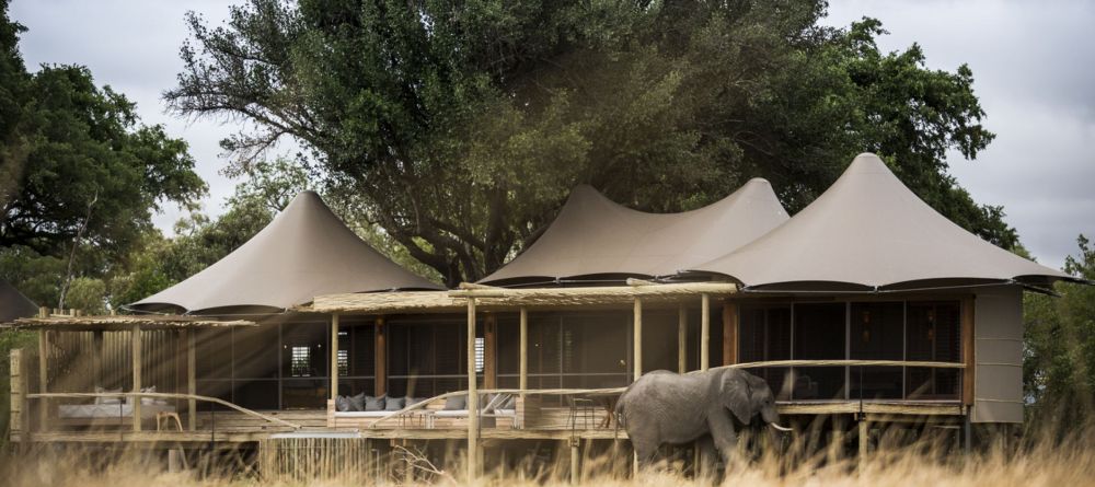 Tent at Little Mombo - Image 16