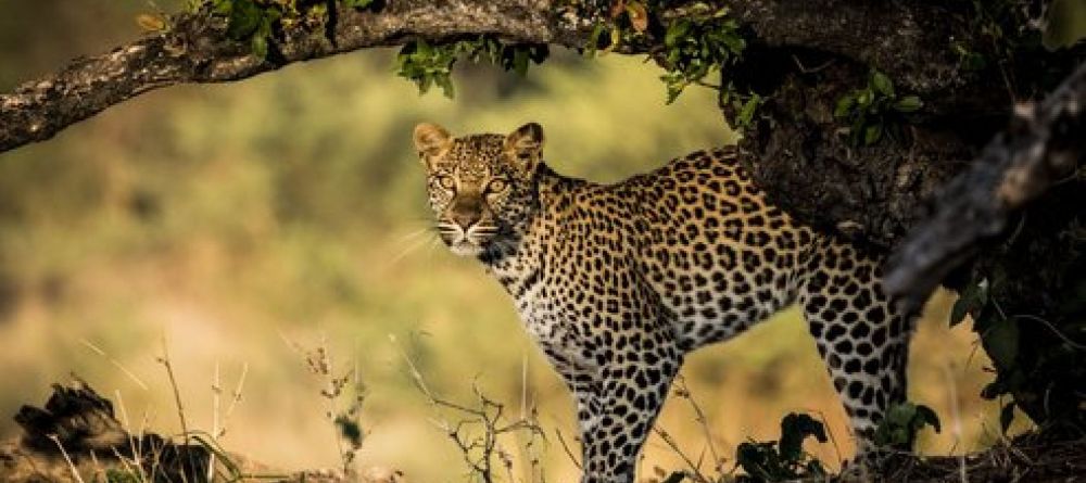 LittleMombo-Wilderness photo Crookes and Jackson - Image 3