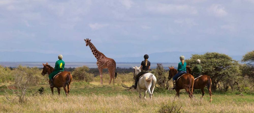 Lodo Springs - Elewana - Image 4