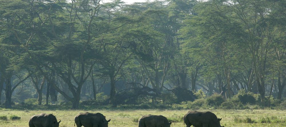 Loldia House, Lake Naivasha, Kenya - Image 9