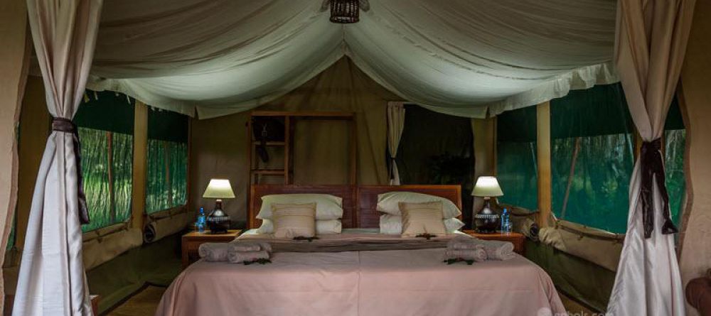 Losokwan Camp, Lemek Conservancy, Kenya - Image 8