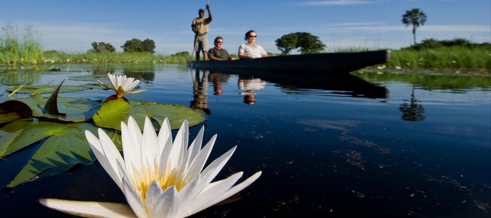 Little Tubu Tree Camp, Okavango Delta, Botswana - Image 15