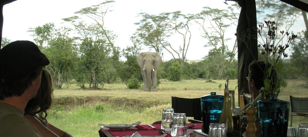 Lunch with the elephants- Ol Pejeta Bush Camp, Ol Pejeta Reserve, Kenya - Image 4