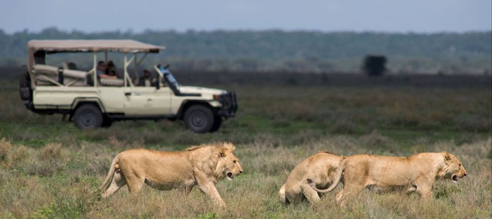 Kusini Camp, Serengeti National Park, Tanzania - Image 5