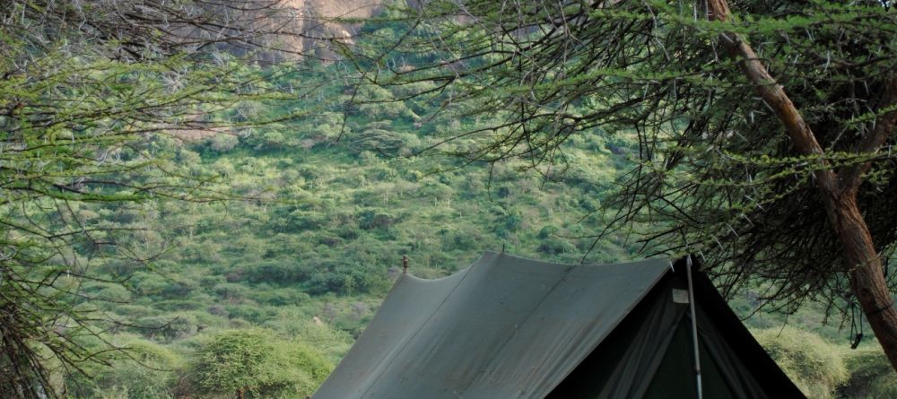 Luxury tents - Image 6