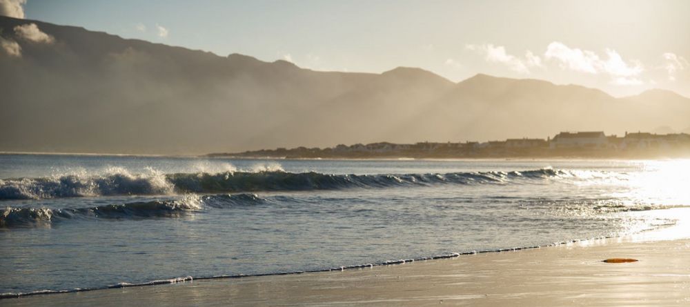 Last Word Hotel Long Beach  - Image 5