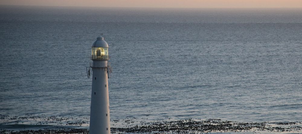 Last Word Hotel Long Beach  - Image 6