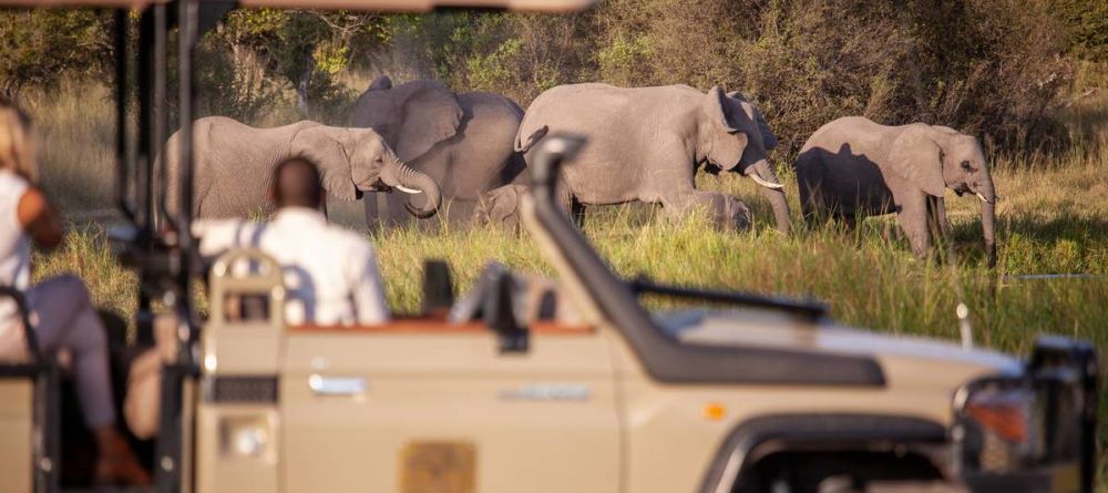 Machaba Camp - Image 8