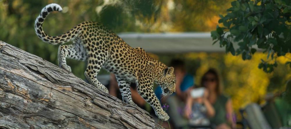 Machaba Camp - Image 12