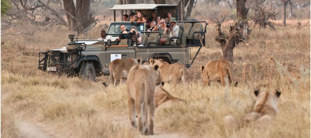 Machaba Camp - Image 19