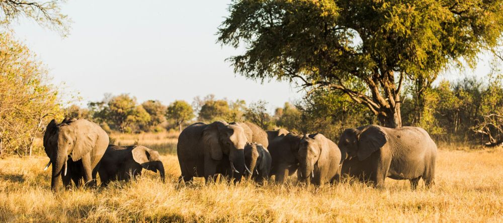 Machaba Camp - Image 17