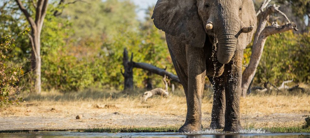 Machaba Camp - Image 18