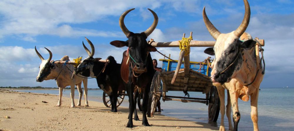 Hotel Hyppocampo, Tulear, Madagascar - Image 5