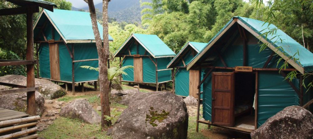 Camping in Marojejy National Park, Madagascar - Image 1