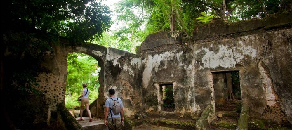 Ruins overgrown by the jungle make for a magical setting to hike at Kinasi Lodge, Mafia Island, Tanzania - Image 2