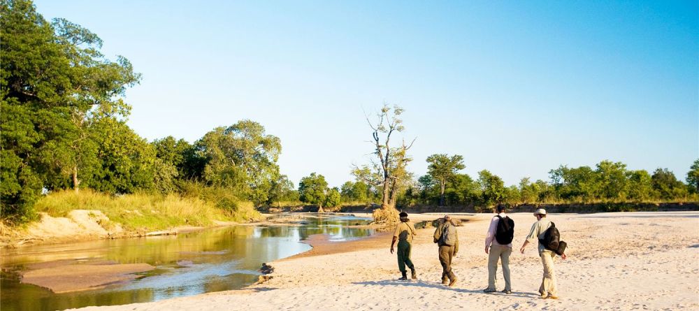 Nature walk at Nsolo Bush Camp, South Luangwa National Park, Zambia - Image 5
