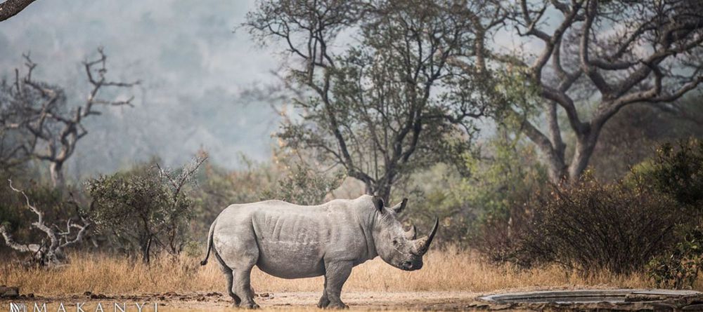 Makanyi Lodge - Image 1