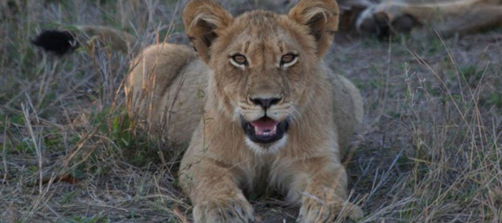 Makanyi Lodge - Image 3