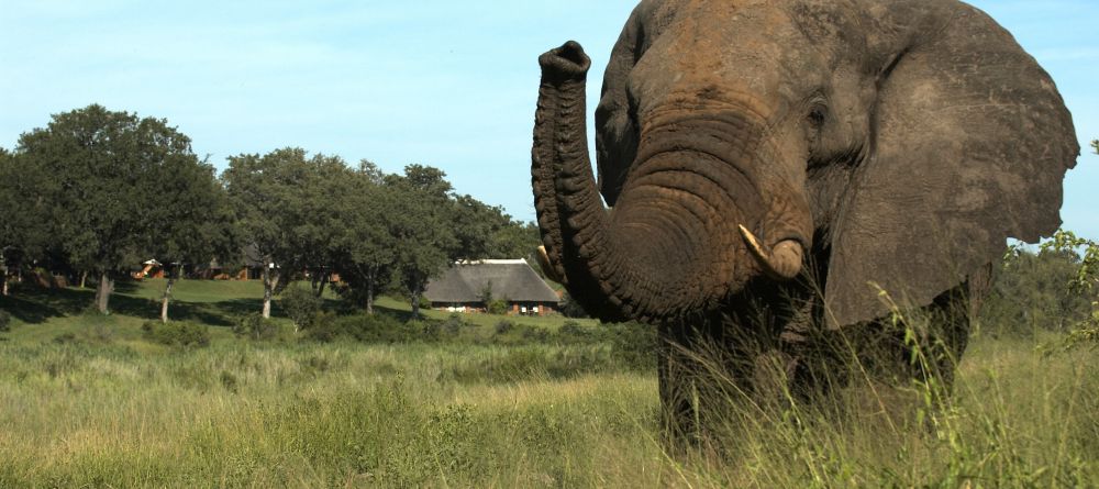 Mala Mala Rattrays Camp, Sabi Sands Game Reserve, South Africa - Image 5