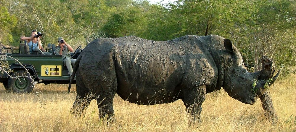 Mala Mala Sable Camp, Sabi Sand Game Reserve, South Africa - Image 5