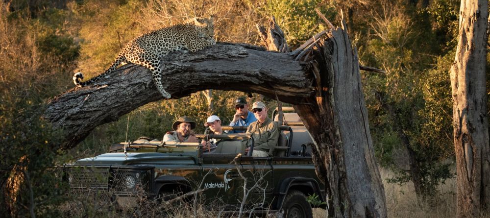 Mala Mala  - Image 9