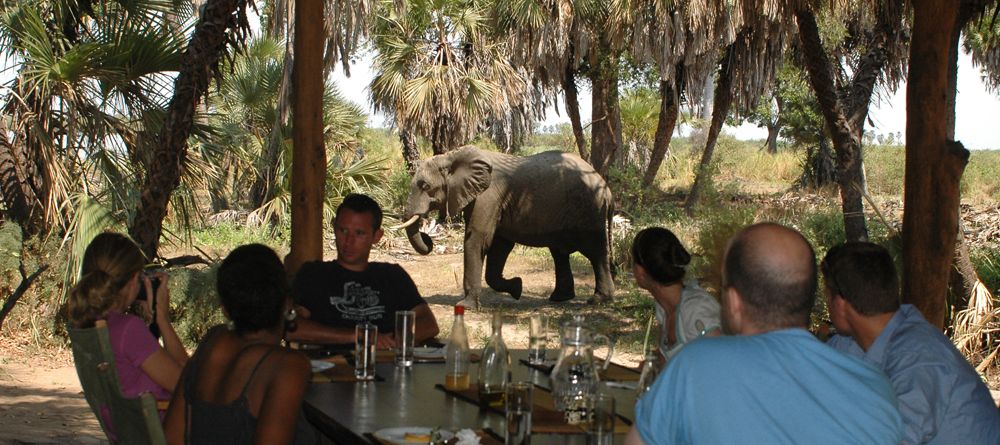 Having lunch with an elephant at Lake Manze Tented Camp, Selous National Park, Tanzania - Image 10