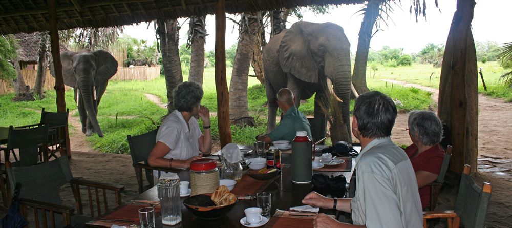 Having lunch with an elephant at Lake Manze Tented Camp, Selous National Park, Tanzania - Image 9