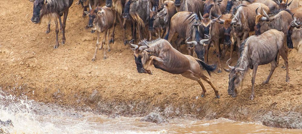 Encounter Mara Camp - Image 3