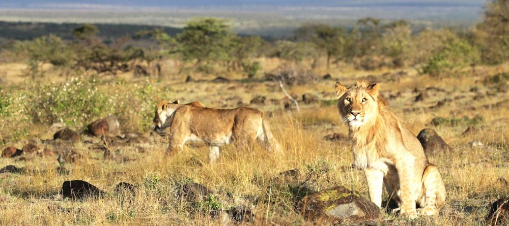 Mara Nyika - Image 3