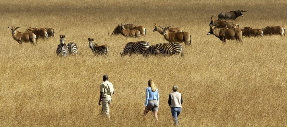 Mara Nyika - Image 5