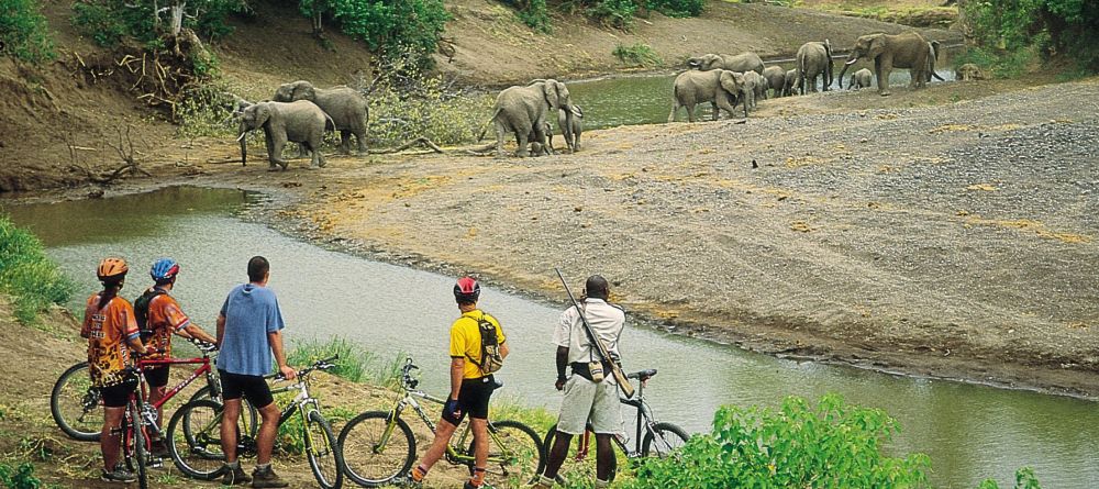 Mashatu Lodge, Mashatu Game Reserve, Botswana - Image 10