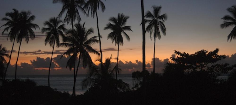 Matemwe Beach Guesthouse, Zanzibar, Tanzania - Image 7