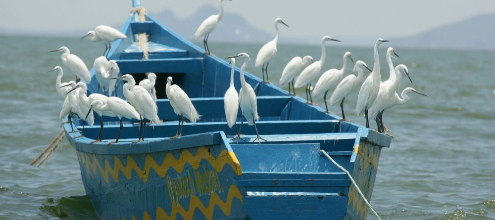 Mfangano Island Camp - Image 3