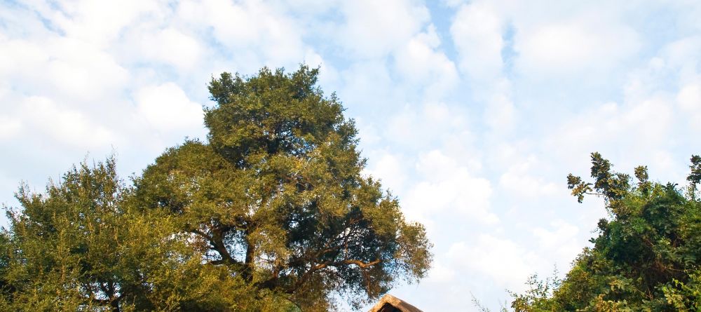 Mfuwe Lodge, South Luangwa National Park, Zambia - Image 7