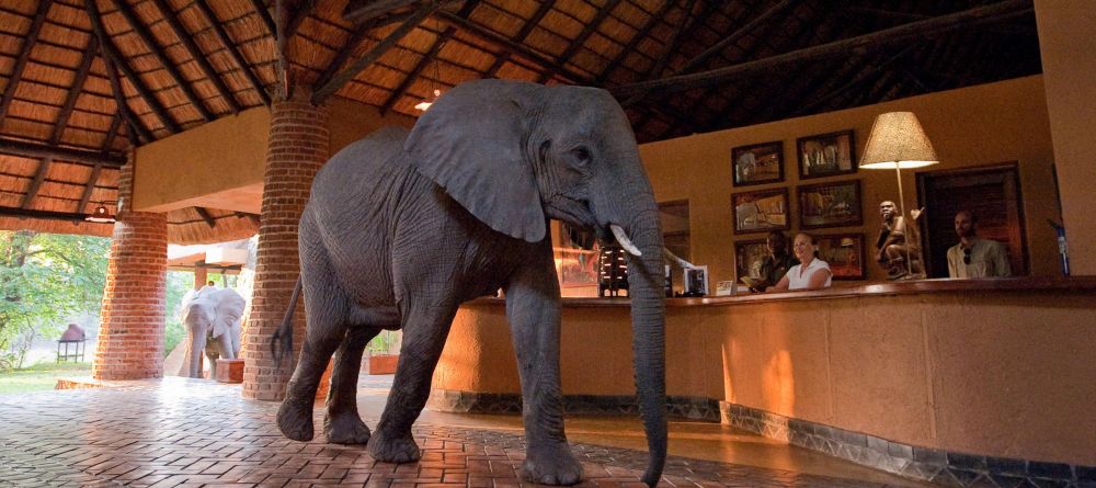 Mfuwe Lodge, South Luangwa National Park, Zambia - Image 10